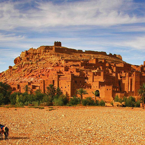 Free website template by Free-Template.co