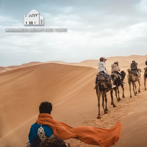 Free website template by Free-Template.co